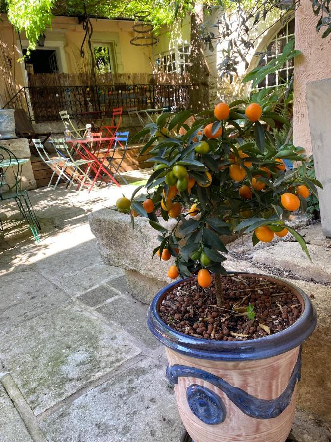 Mus La Paillere Chambres D Hotes מראה חיצוני תמונה