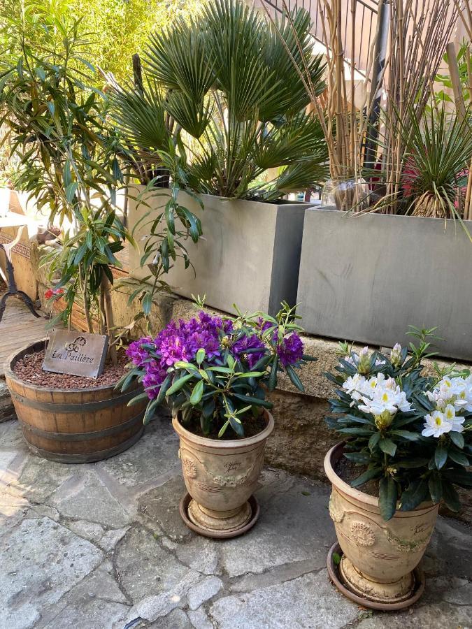 Mus La Paillere Chambres D Hotes מראה חיצוני תמונה