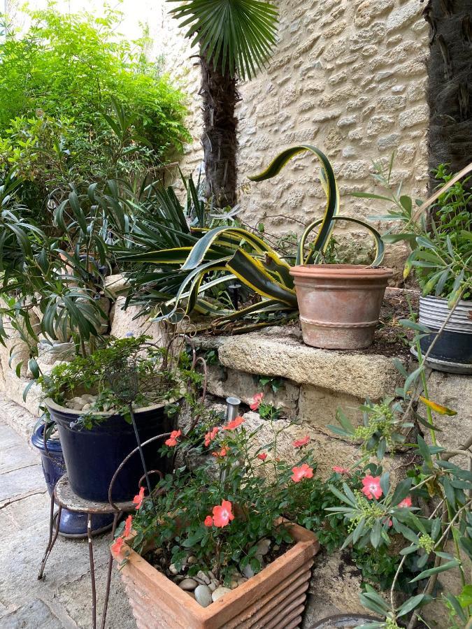 Mus La Paillere Chambres D Hotes מראה חיצוני תמונה